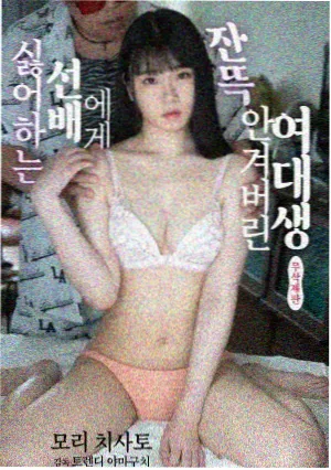 美剧潮汐档案剧集封面